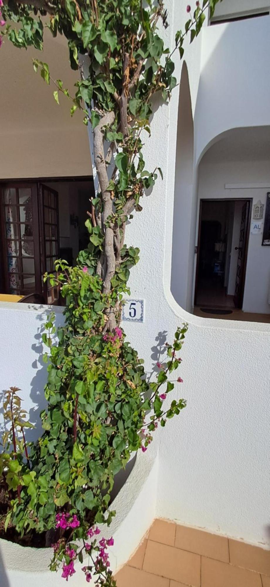 Apartamento Neptuno เบนาชิล ภายนอก รูปภาพ